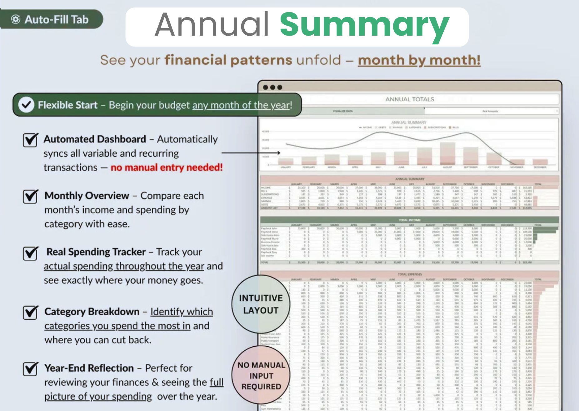 Annual Budget Summary — 12-Month Financial Overview Spreadsheet